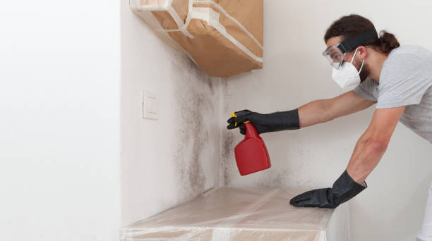 Professional Bathroom Mold Removal technician working in Colonia, NJ