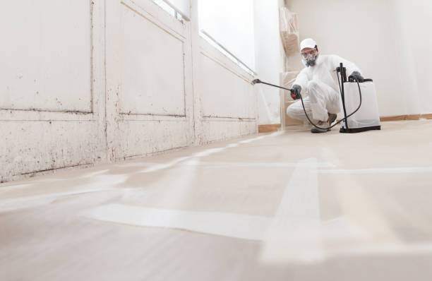 24/7 Emergency Bathroom Mold Removal experts in Colonia, NJ