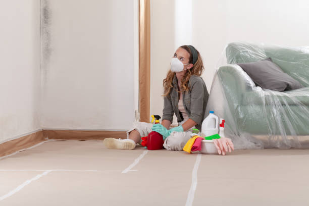 Reliable Bathroom Mold Removal contractor in Colonia, NJ by WQB Mold Removal